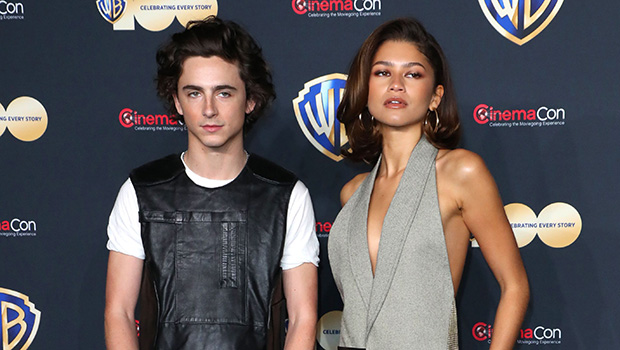 timothee chalamet, zendaya