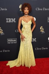 BEVERLY HILLS, CALIFORNIA - FEBRUARY 03: (FOR EDITORIAL USE ONLY) Keke Palmer attends the 66th GRAMMY Awards Pre-GRAMMY Gala & GRAMMY Salute to Industry Icons Honoring Jon Platt at The Beverly Hilton on February 03, 2024 in Beverly Hills, California. (Photo by Amy Sussman/Getty Images)