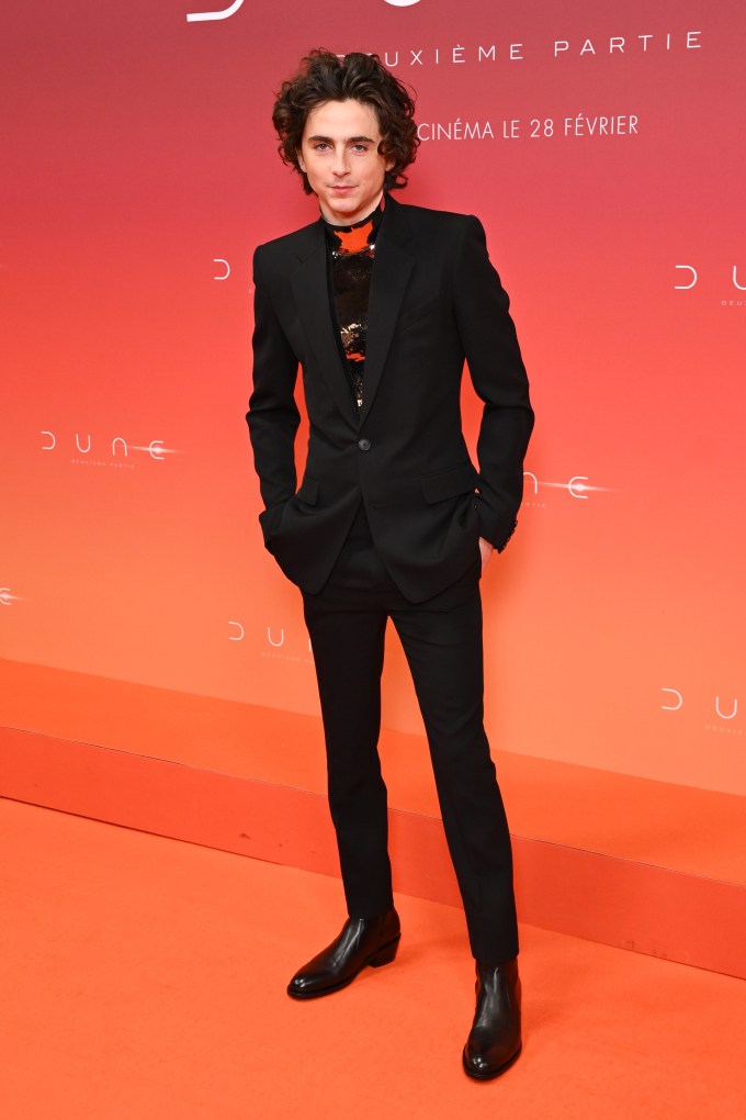 Timothée Chalamet at the Paris Premiere