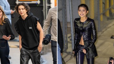 timothee chalamet, zendaya