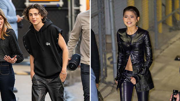 timothee chalamet, zendaya