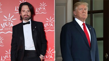 Sebastian Stan, Donald Trump