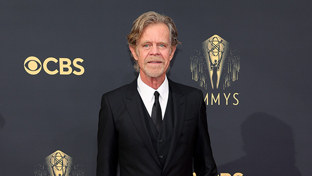 william h macy