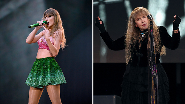 taylor swift, stevie nicks