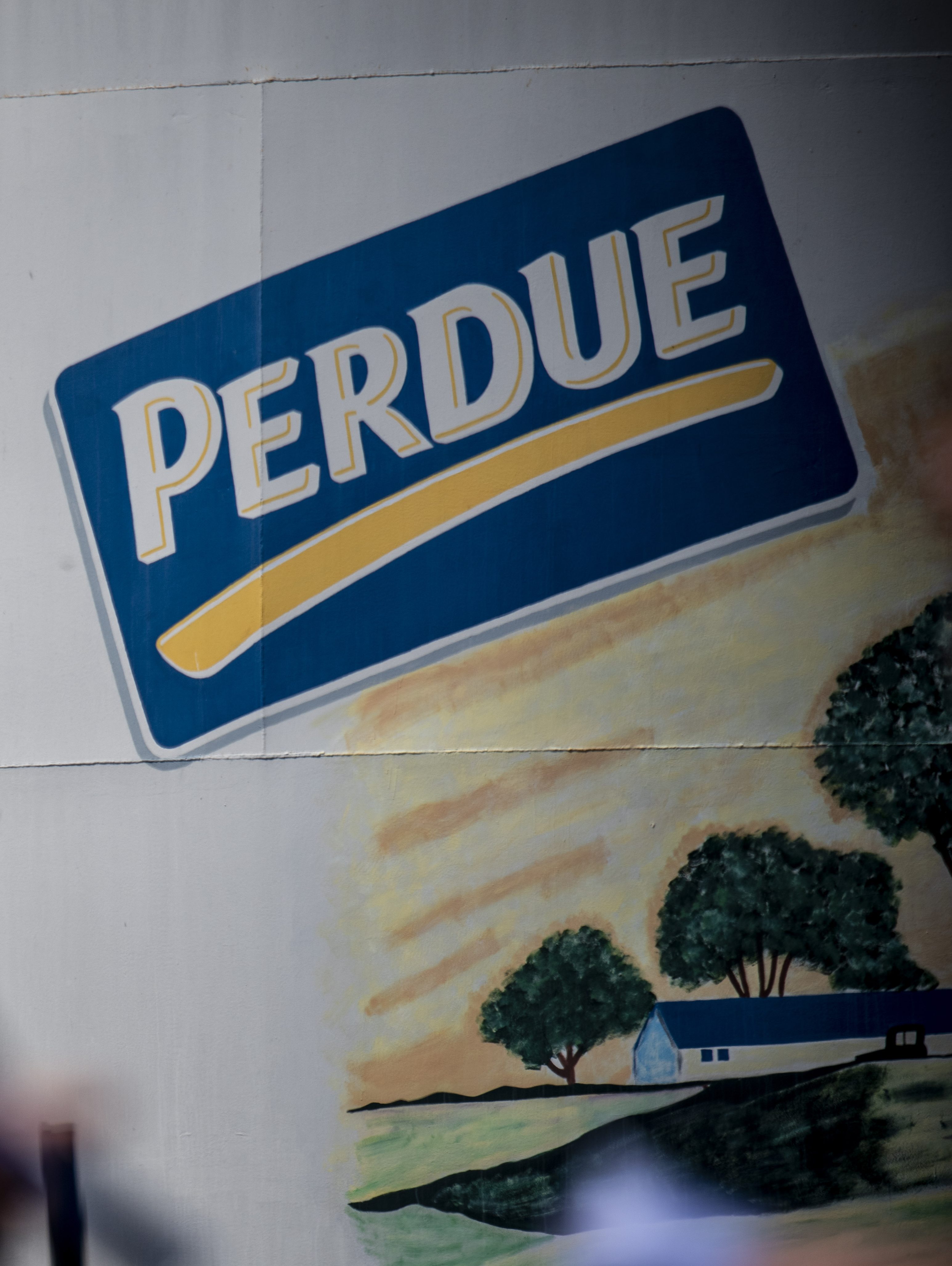A recently recruited employee who wants to stay anonymous answers an AFP journalist's questions outside the Perdue Farms Chicken and poultry processing factory on May 2, 2020 in Salibury, Maryland. - Coronavirus cases have recently spiked in the poultry farms and plants - one of the main local industry of the Delmarva Peninsula. Mostly Haitians and Latino workers are employed in this essential business for the regional economy as they can't afford to miss work for fear of losing their jobs. (Photo by Eric BARADAT / AFP) (Photo by ERIC BARADAT/AFP via Getty Images)