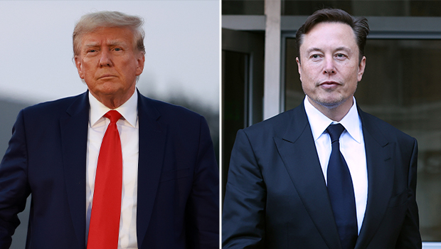 Donald Trump, Elon Musk