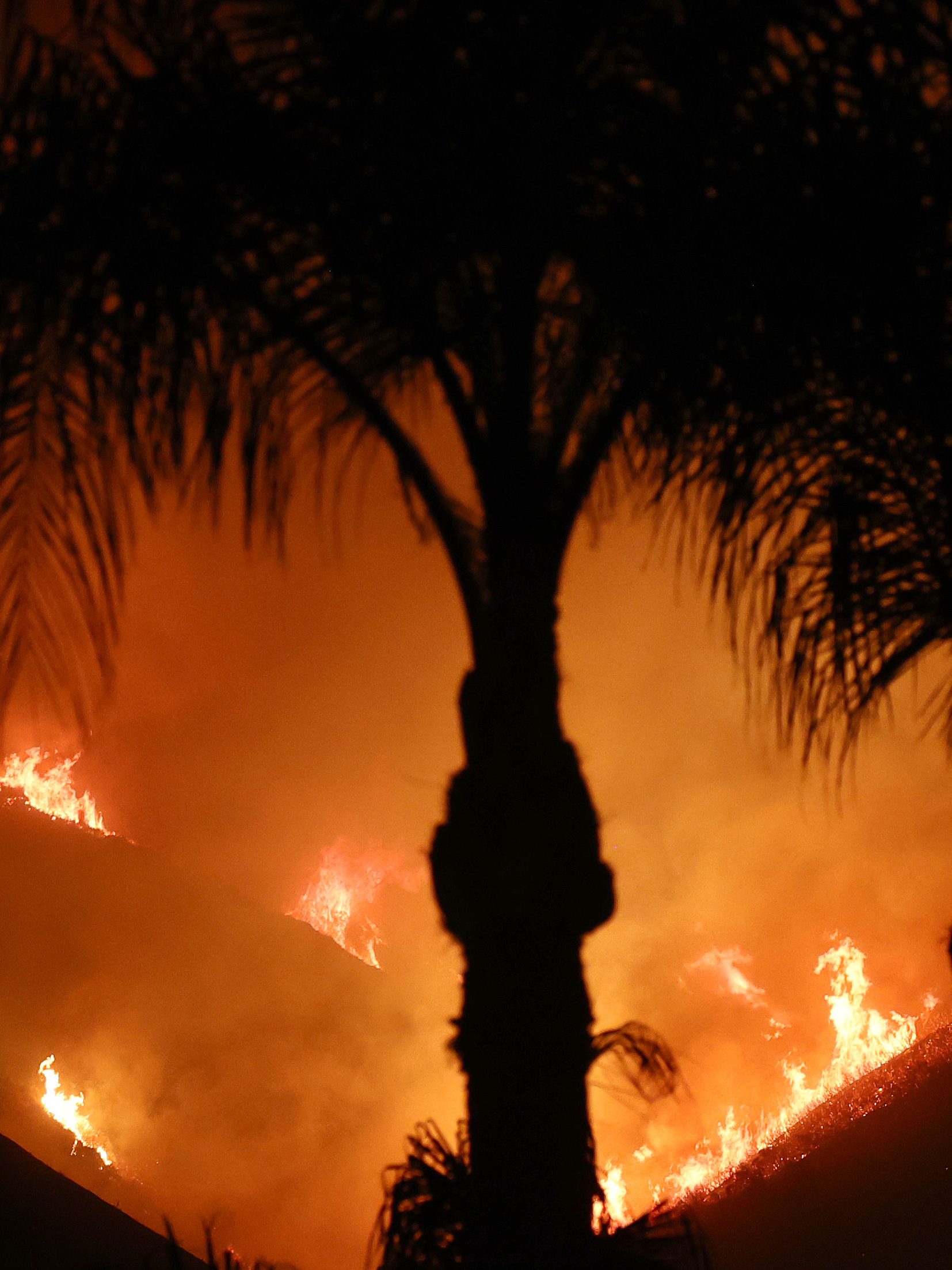 The Airport Fire burns on a hill beyond palm trees
