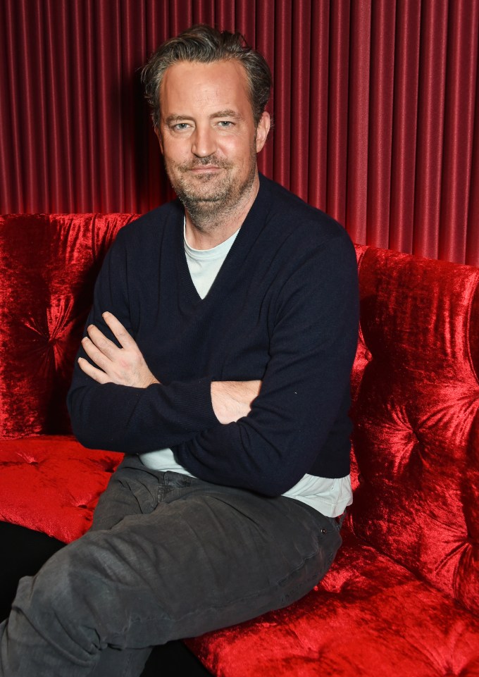 Matthew Perry Poses For “The End Of Longing”