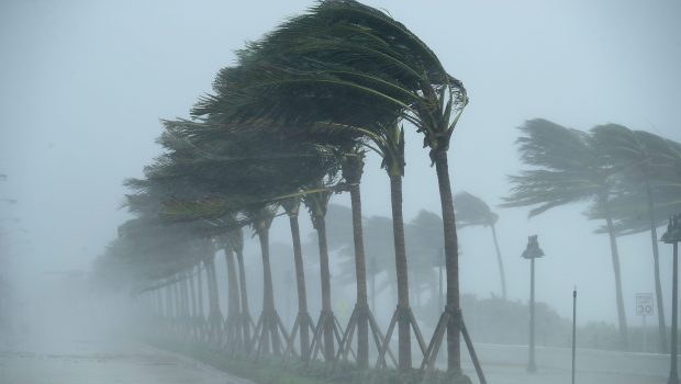 FORT LAUDERDALE, FL - SEPTEMBER 10:  Trees bend in the tropical storm wind along North Fort Lauderdale Beach Boulevard as Hurricane Irma hits the southern part of the state September 10, 2017 in Fort Lauderdale, Florida. The powerful hurricane made landfall in the United States in the Florida Keys at 9:10 a.m. after raking across the north coast of Cuba.  (Photo by Chip Somodevilla/Getty Images)