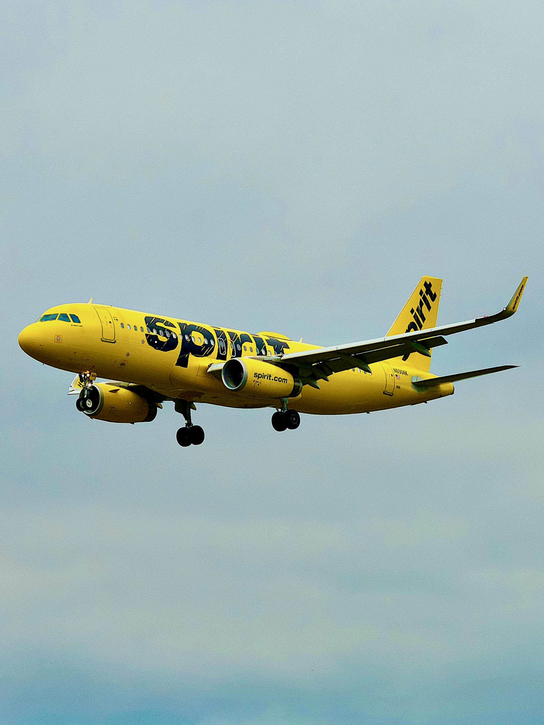 Baltimore, Maryland, USA - October 13, 2021: A Spirit Airlines passenger airplane approaches Baltimore/Washington International Thurgood Marshall Airport (BWI).