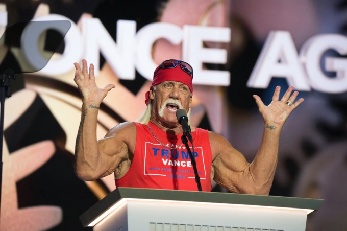 Hulk Hogan