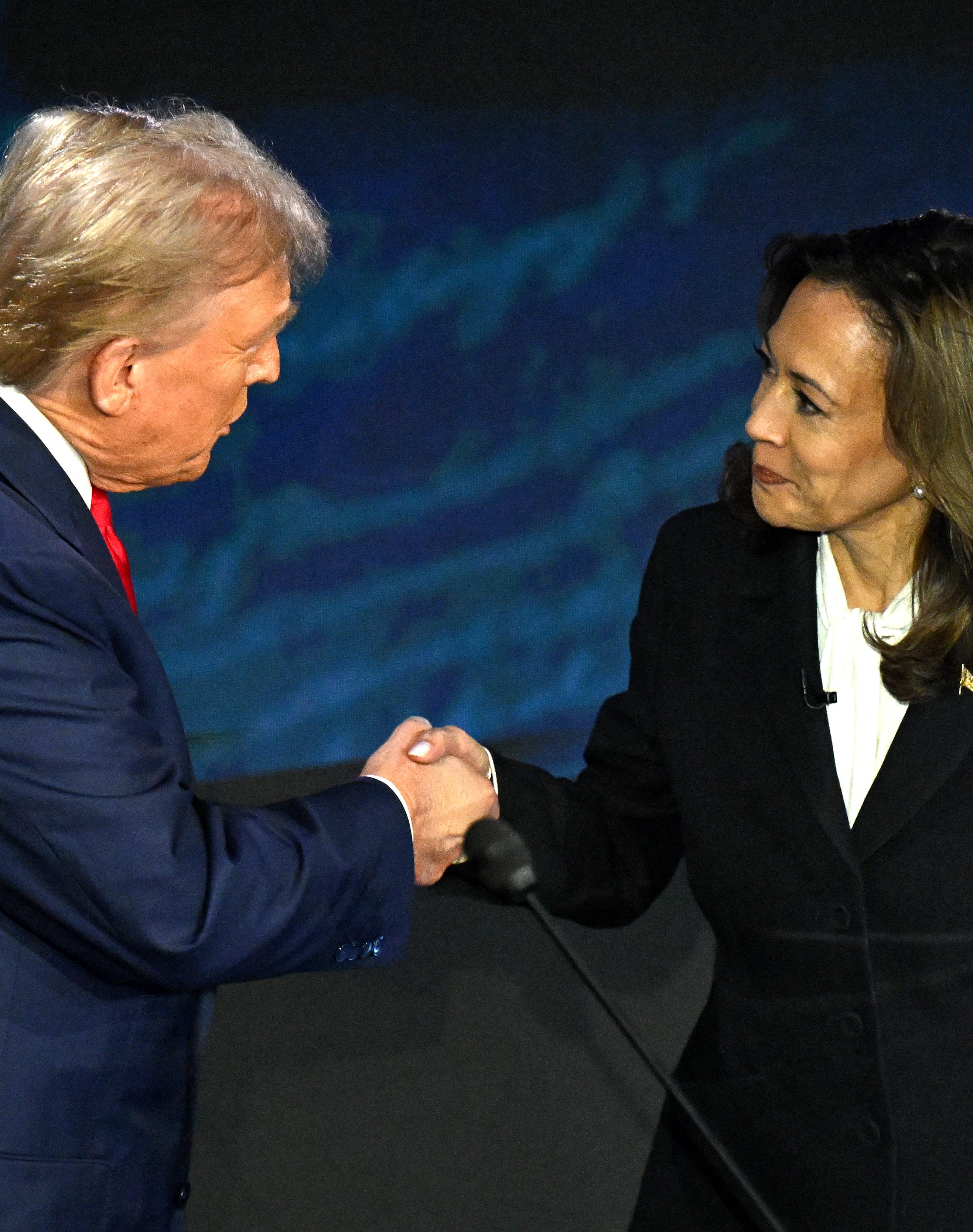 Who Won the Popular Vote 2024? Election Results