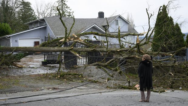 LAKE STEVENS, WASHINGTON - NOVEMBER 20: Resident Tiffani Palpong stands in front of her property where her 20 year-old son Logan was still trapped by downed power lines and trees on November 20, 2024 in Lake Stevens, Washington. A rare storm referred to as a "bomb cyclone" recorded 70mph wind gusts which knocked over trees and power lines, leaving nearly half a million residents throughout Washington state without electricity. (Photo by Mathieu Lewis-Rolland/Getty Images)