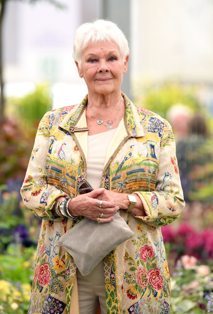 Judi Dench