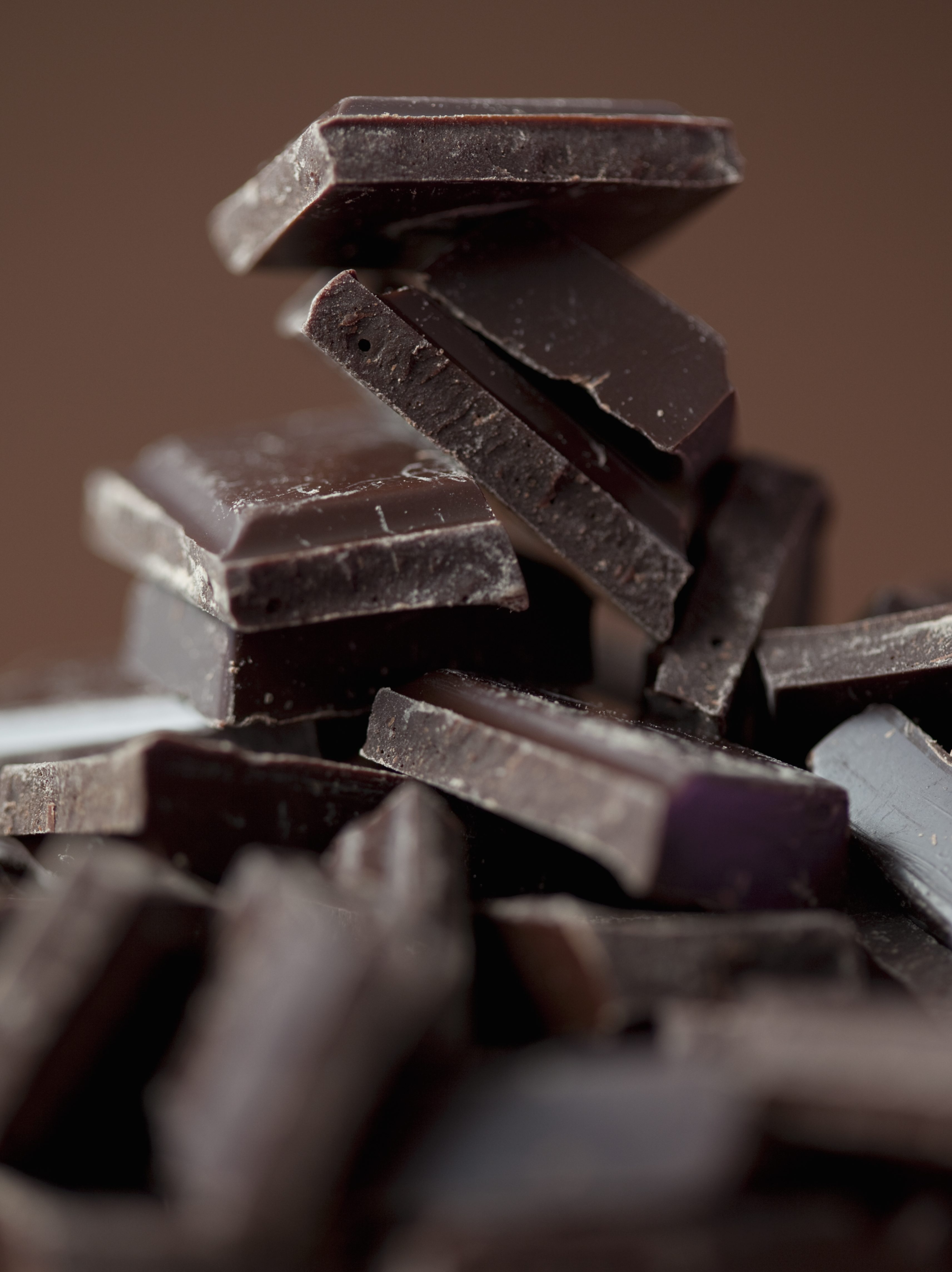 Studio photograph on brown background