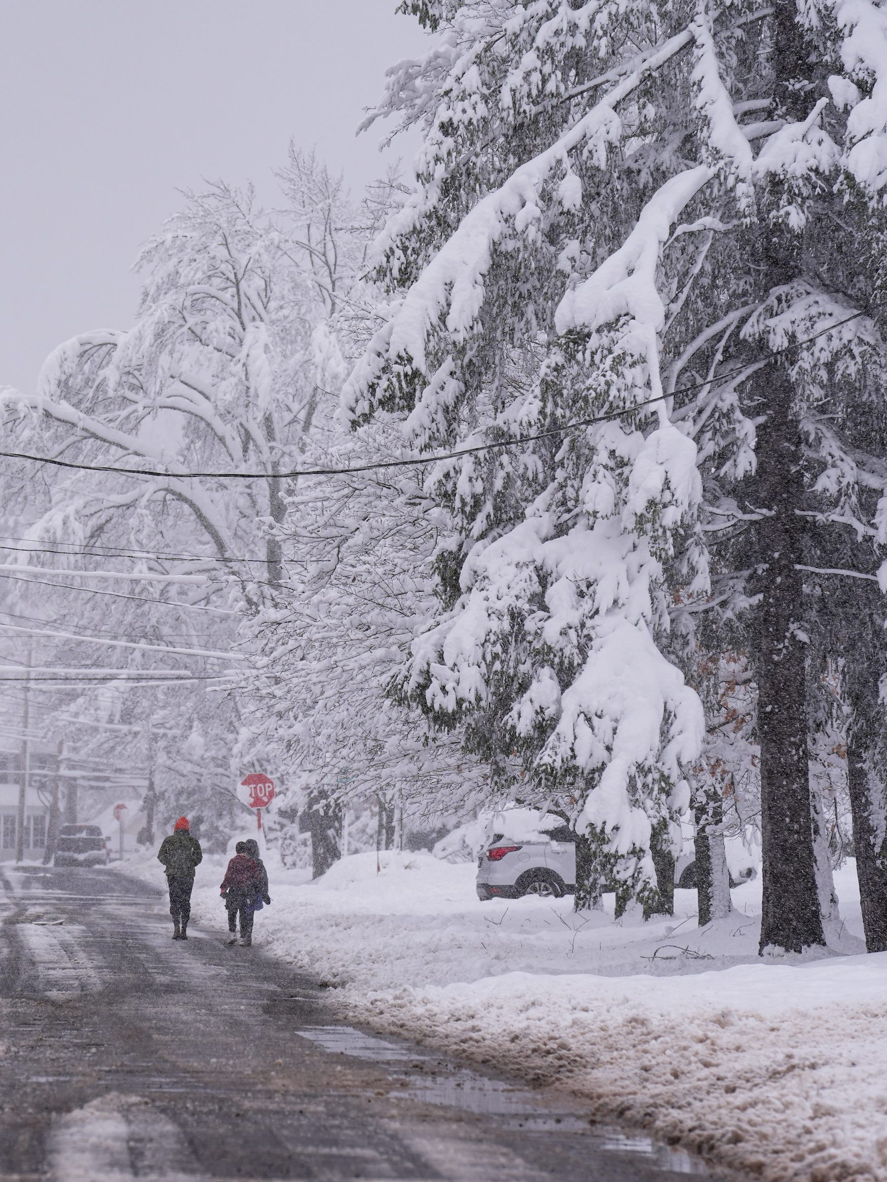 PENNSYLVANIA, UNITED STATES - NOVEMBER 22: First snowstorm of the season reaches in Moscow, Pennsylvania, United States on November 22, 2024. (Photo by Lokman Vural Elibol/Anadolu via Getty Images)