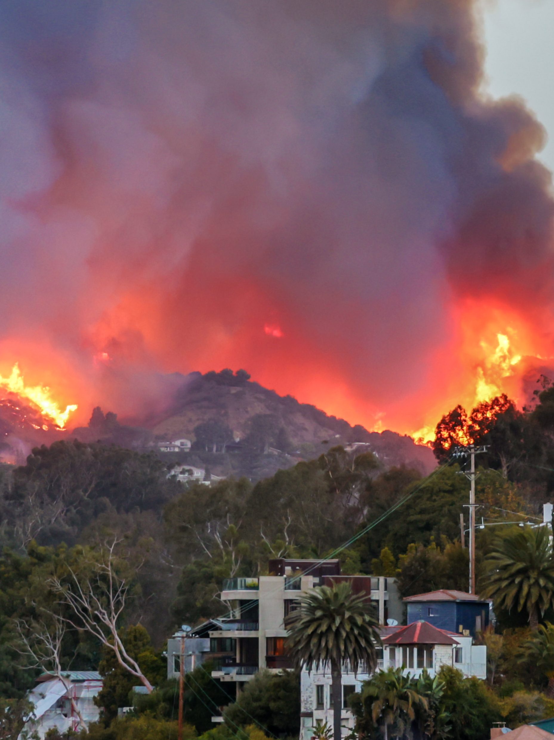 How Did the Pacific Palisades Fire Start? See Cause
