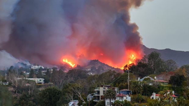 How Did the Pacific Palisades Fire Start? See Cause